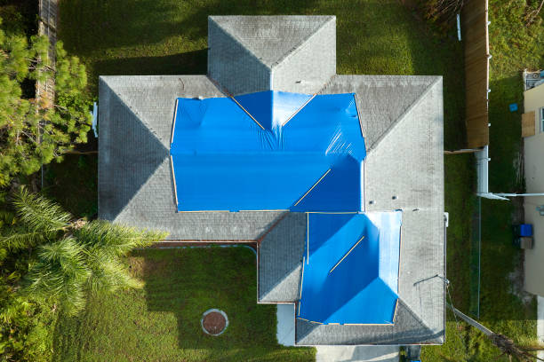 Best Roof Coating and Sealing  in Irmo, SC