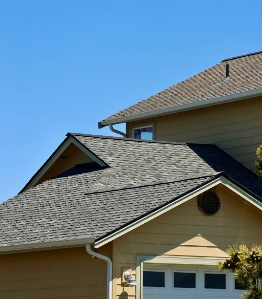 Best Roof Insulation Installation  in Irmo, SC